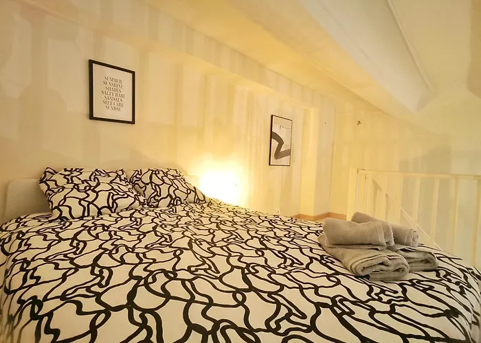 Superbe Appartement Avec Jardin Quart Mazarin