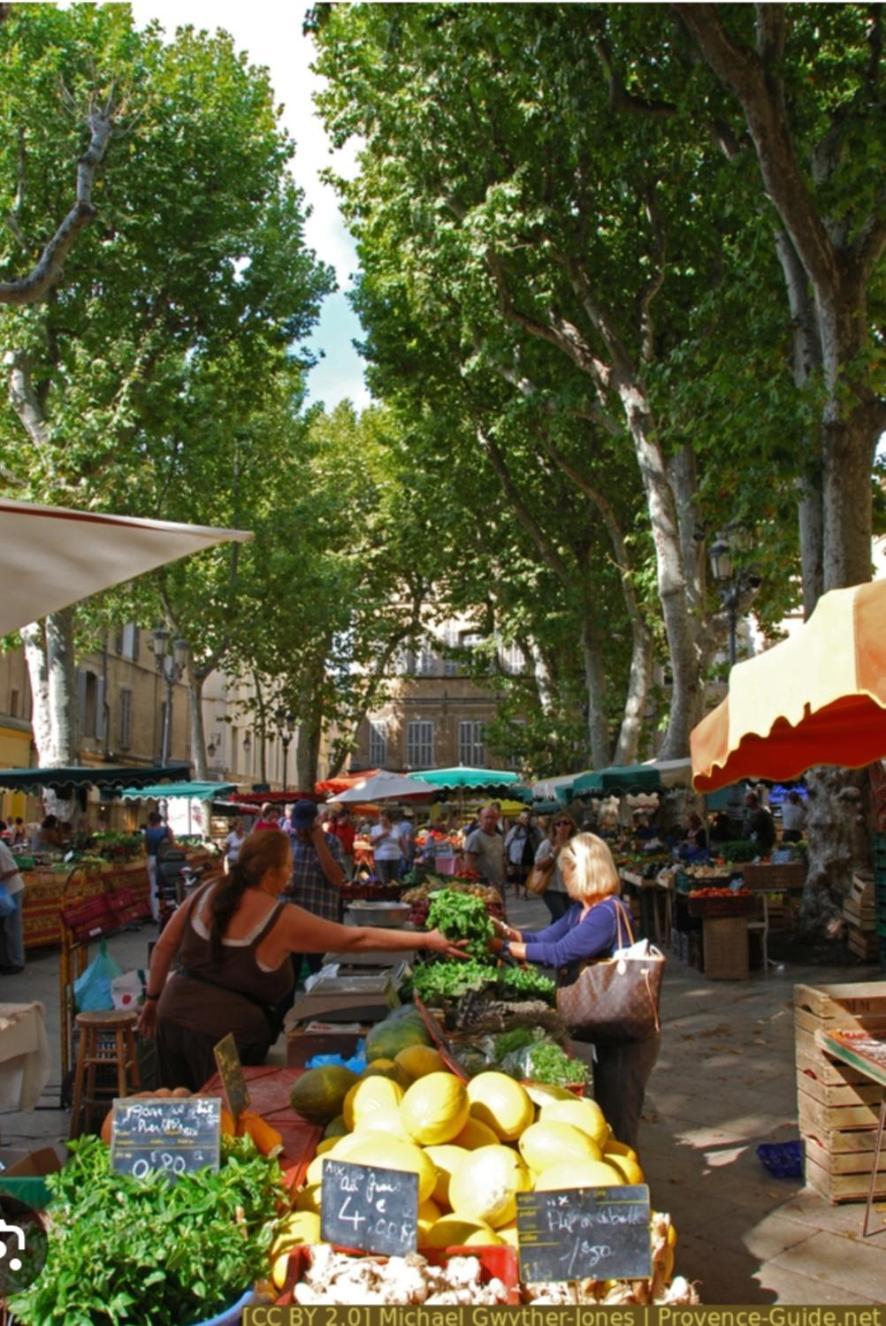 Apartment Superbe Avec Jardin Quart Mazarin *