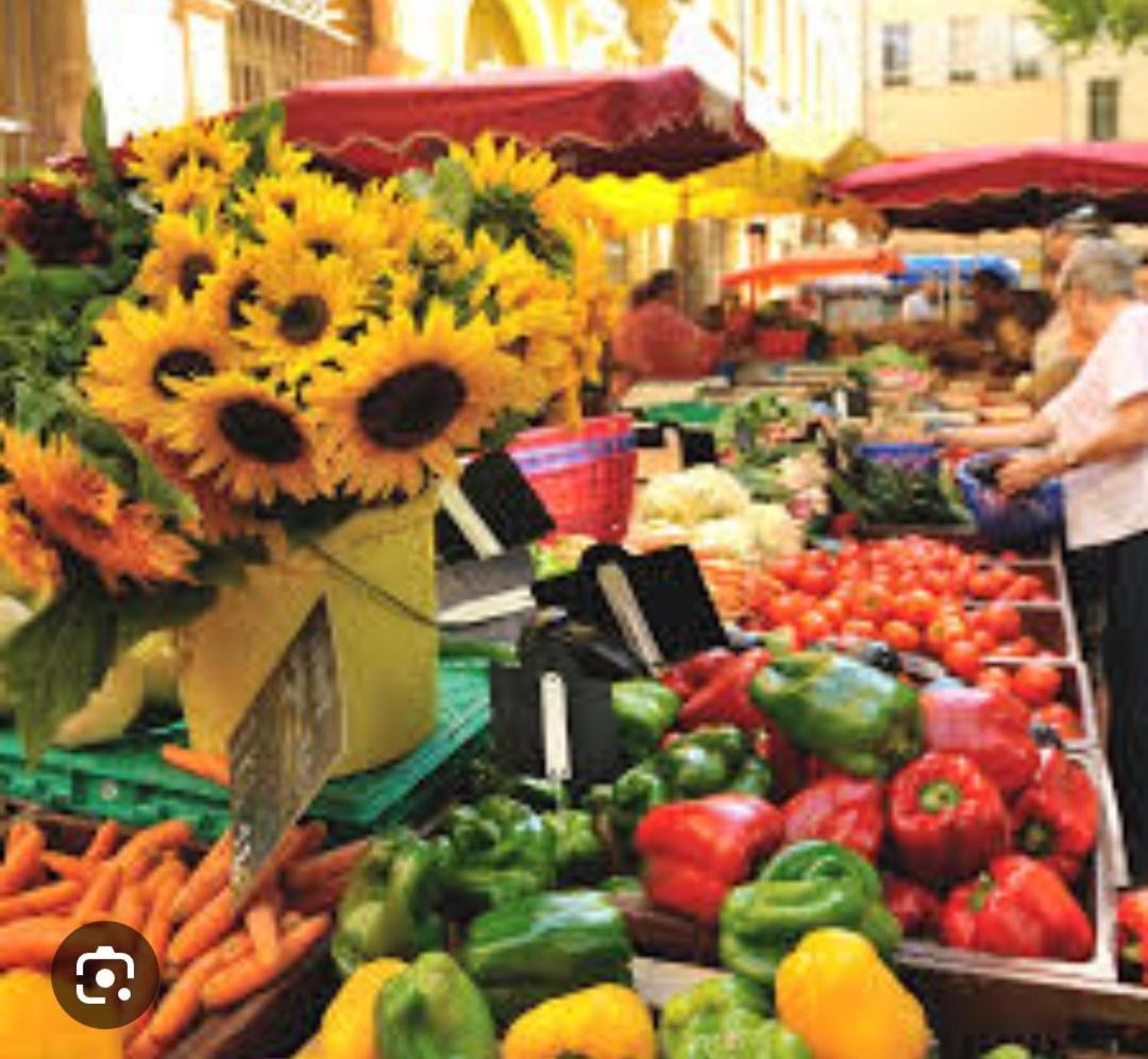 Superbe Avec Jardin Quart Mazarin Apartment Aix-en-Provence